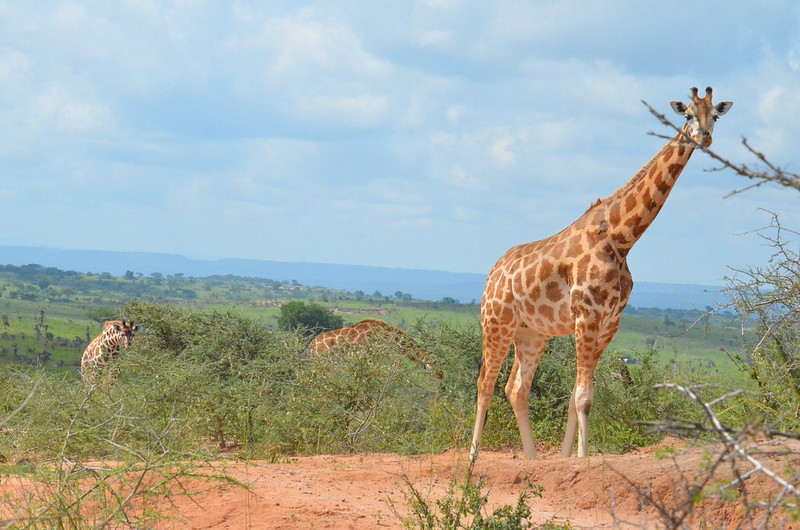 2 days lake mburo national park 